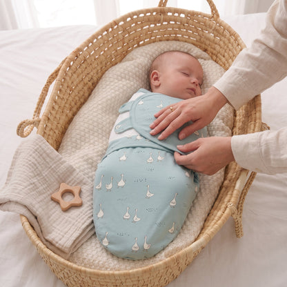 Little Manta Dream Baby Swaddle Sack
