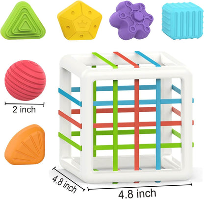 6 Piece Multi Sensory Shape Toy Set