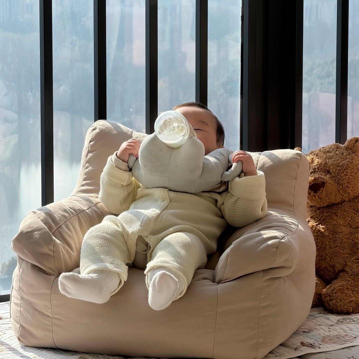 Little Manta Hands Free Baby Bottle Holder