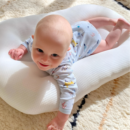 Little Manta Pastel Baby Lounger Nest